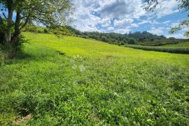 Kuća sa pomoćnim objektom i 7.438m² okućnice 4 min od Krapinskih Toplica!, Krapinske Toplice, Haus