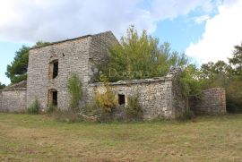 Kamena kuća 174m2 za obnovu na 3ha zemljišta, Vodnjan, بيت