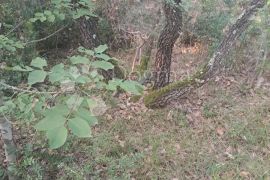 Prostrano poljovrivredno zemljište Bale, Bale, Land