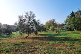 PRILIKA! Građevinsko zemljište u Loborici, Marčana, Terrain