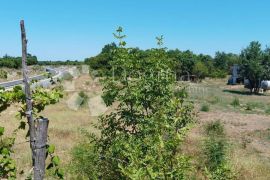 CUKRIĆI, SVETVINČENAT - PROSTRANO POLJOPRIVREDNO ZEMLJIŠTE, Svetvinčenat, Terrain