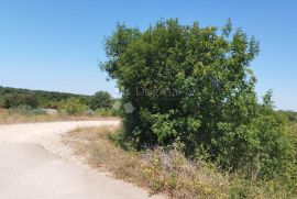 CUKRIĆI, SVETVINČENAT - PROSTRANO POLJOPRIVREDNO ZEMLJIŠTE, Svetvinčenat, Land