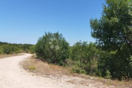 CUKRIĆI, SVETVINČENAT - PROSTRANO POLJOPRIVREDNO ZEMLJIŠTE, Svetvinčenat, Tierra