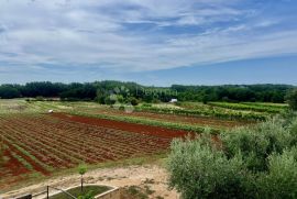 Rustikalna kuća sa vlastitim imanjem u srcu Istre, Umag, Kuća