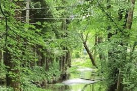 Čarobna građevna parcela nadomak Plitvica, Plitvička Jezera, Tierra