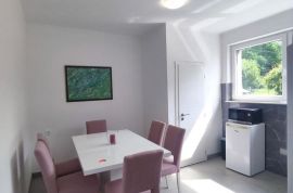 ISTRA,LABIN,STAN 51 M2 SA GARAŽOM U CENTRU GRADA, Labin, Appartement