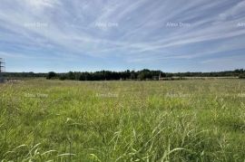 Građevinsko zemljište Prodaje se građevinsko zemljište, 5832m2, Barban, Barban, Terra