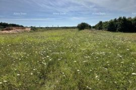 Građevinsko zemljište Prodaje se građevinsko zemljište, 5832m2, Barban, Barban, Terra