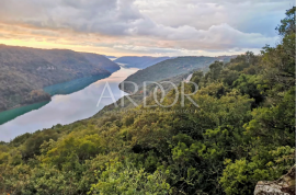 Sveti Lovreč, poljoprivredno zemljište 30.902m2, Sveti Lovreč, Terra