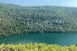 Sveti Lovreč, poljoprivredno zemljište 30.902m2, Sveti Lovreč, Zemljište