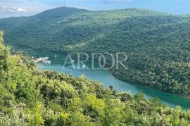 Sveti Lovreč, poljoprivredno zemljište 30.902m2, Sveti Lovreč, Arazi