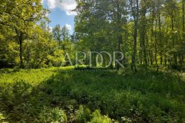 Brod na Kupi, starina sa građevinskim zemljištem, Delnice, House