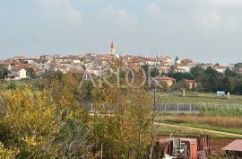 Istra, Brtonigla, građevinsko zemljište 6706 m2, Brtonigla, Terreno