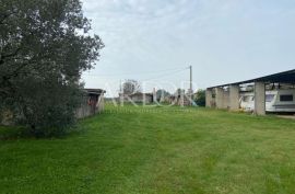 Istra, Brtonigla, građevinsko zemljište 6706 m2, Brtonigla, Terreno