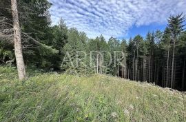 Ravna Gora, centar, građevinsko zemljište, Ravna Gora, Land