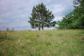 Centralna Istra, veliko imanje sa izvorom vode, Lupoglav, Земля