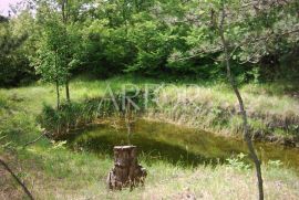 Centralna Istra, veliko imanje sa izvorom vode, Lupoglav, Land