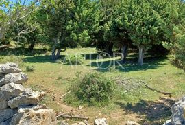 LOŠINJ, POLJOPRIVREDNO, 43030 m2, Mali Lošinj, Land