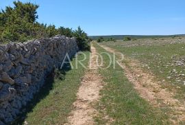 LOŠINJ, POLJOPRIVREDNO, 43030 m2, Mali Lošinj, Terrain