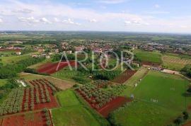 Kaštelir -Labinci građevinsko zemljište, Kaštelir-Labinci, Terreno