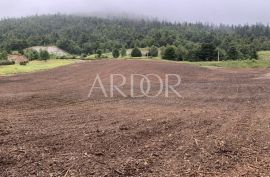 FUŽINE - PREDIVNA DRVENA KUĆA I ZEMLJIŠTE 28006M2, Fužine, Kuća