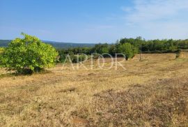 Centralna Istra, Pićan, Land