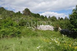 UČKA-POLJOPRIVREDNO ZEMLJIŠTE 41157 M2, Lupoglav, Tierra