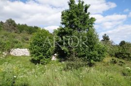 UČKA-POLJOPRIVREDNO ZEMLJIŠTE 41157 M2, Lupoglav, Terrain