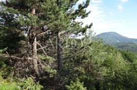 UČKA-POLJOPRIVREDNO ZEMLJIŠTE 41157 M2, Lupoglav, Terra