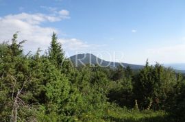 UČKA-POLJOPRIVREDNO ZEMLJIŠTE 41157 M2, Lupoglav, Land