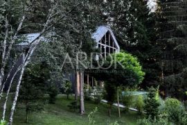 SKRAD-GORSKI KOTAR, LUKSUZNA VILLA, Skrad, House