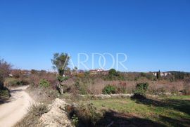 ROVINJ poljoporivredno zemljište 5860m2 UDJELI, Rovinj, Terrain