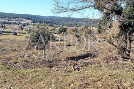 CRES BELEJ, Mali Lošinj, Terreno