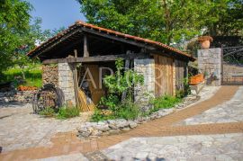 Kastav, luksuzna obiteljska kuća sa maslinikom, Kastav, House