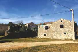 Istra-Grožnjan veliko imanje s potencijalom ulaganja, Grožnjan, Terrain