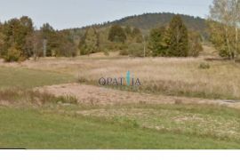 Poljoprivredno zemljište (označeno zelenom bojom u poljoprivrednom upisniku), Ravna Gora, Arazi