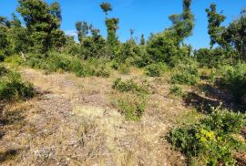 Prostrano građevinsko zemljište za gradnju više objekta, Marčana, Land