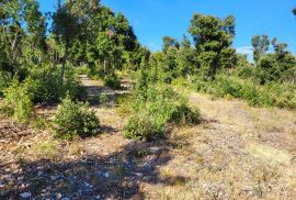 Prostrano građevinsko zemljište za gradnju više objekta, Marčana, Land