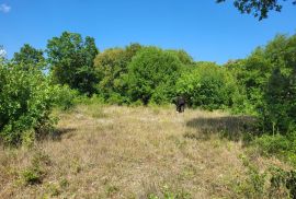 Prostrano građevinsko zemljište za gradnju više objekta, Marčana, Land