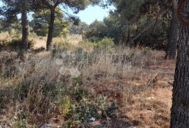 GRAĐEVINSKO ZEMLJIŠTE BIOGRAD NA MORU, Biograd Na Moru, Terreno