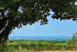 MODERNA VILLA S POGLEDOM NA MORE, Kaštelir-Labinci, Haus