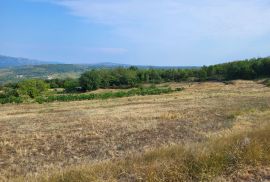 Poljoprivredno zemljište, Pićan, Pićan, Terrain