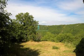 Tinjan, kamena kuća, stara villa, Tinjan, Casa