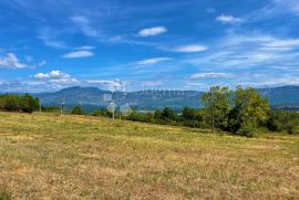 KOMPLEKS GRAĐEVINSKOG I POLJOPRIVREDNOG ZEMLJIŠTA, Pićan, Land