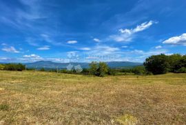 KOMPLEKS GRAĐEVINSKOG I POLJOPRIVREDNOG ZEMLJIŠTA, Pićan, Terreno