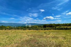 KOMPLEKS GRAĐEVINSKOG I POLJOPRIVREDNOG ZEMLJIŠTA, Pićan, Terreno