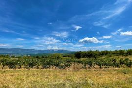 KOMPLEKS GRAĐEVINSKOG I POLJOPRIVREDNOG ZEMLJIŠTA, Pićan, Terrain