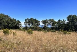 Istra, Peruški - 1000 m2 parcele, POGLED NA MORE, Marčana, Terreno