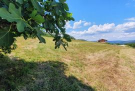 ISTRA, PAZIN - Građevinsko zemljište 1576 m2 s pogledom na jezero i prirodu, Pazin - Okolica, Terra