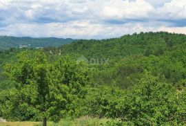 ISTRA, PAZIN - Građevinsko zemljište 1576 m2 s pogledom na jezero i prirodu, Pazin - Okolica, أرض